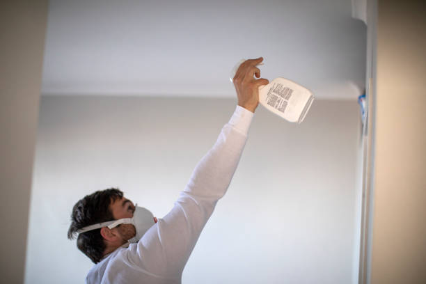 Best Mold Removal and Inspection  in Memphis, MO