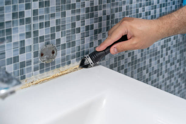 Best Emergency Mold Removal  in Memphis, MO